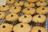 cookies-baking-food-homemade-356620.jpg