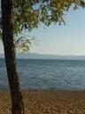 lake-tahoe-tree-beach-seascape-sky-345682.jpg