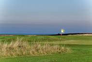 golf-course-golf-flags-green-golf-970873.jpg