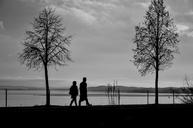 silhouettes-tree-man-market-walk-271104.jpg