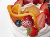 cake-fruit-dessert-birthday-102937.jpg