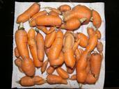 carrots-vegetables-salad-943647.jpg