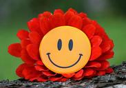 smile-joy-flower-laughter-mood-1539196.jpg