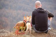 man-dogs-hiking-edge-cliff-1181873.jpg