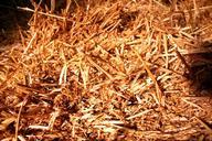 straw-straw-bales-bale-landscape-565637.jpg