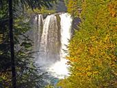 waterfalls-mckenzie-river-oregon-1696998.jpg