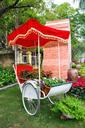 garden-flower-landscaping-thailand-721927.jpg