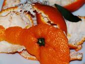 orange-peel-shell-orange-close-517567.jpg