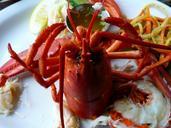 lobster-cooked-seafood-red-food-54994.jpg