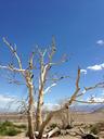 california-desert-sky-nature-1059219.jpg