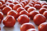 tomatoes-farmer-market-vegetable-615407.jpg