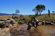 pool-waters-natural-pond-pond-424194.jpg