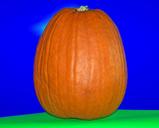 pumpkin-autumn-fall-halloween-18284.jpg