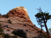 zion-national-park-utah-usa-436117.jpg