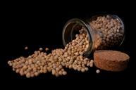 pepper-peppercorns-white-pepper-525696.jpg