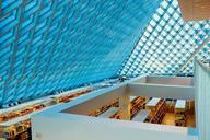 library-books-shelves-skylight-690271.jpg