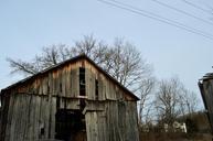 barn-kentucky-budweiser-ave-wood-667967.jpg