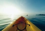 kayak-adventure-discover-hipster-846078.jpg