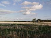 fields-landscape-northern-germany-427080.jpg