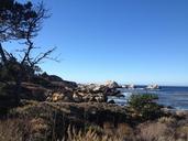 big-sur-california-trees-coastline-1085761.jpg