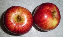 apples-food-bless-you-496804.jpg