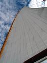 sailboat-mast-sail-sea-ocean-boat-498689.jpg