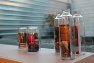 bottles-glass-decoration-pictures-230313.jpg