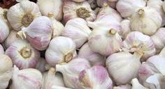 garlic-vegetable-festival-autumn-788830.jpg