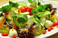 salad-salad-plate-vitamins-healthy-1097595.jpg