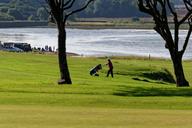 golf-course-golf-course-golfer-965927.jpg