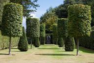 park-hedge-garden-trees-trimmed-423125.jpg