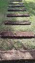 ground-garden-lawn-path-logs-773166.jpg