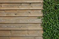 wall-wooden-wall-wall-boards-boards-463978.jpg