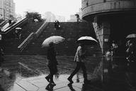 people-raining-umbrellas-wet-city-768566.jpg