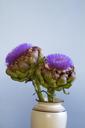 artichoke-blossom-bloom-vase-1185835.jpg