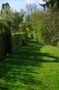 meadow-away-hedge-path-shrubs-324387.jpg