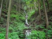 woods-river-waterfall-arboretum-1696644.jpg