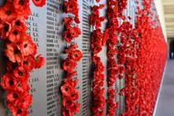 remembrance-anzac-lest-poppy-red-1057685.jpg