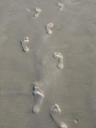 More_Footprints.jpg