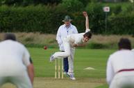 cricket-bowl-field-match-pitch-724618.jpg