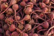 Beta vulgaris, San Francisco farmers market.jpg