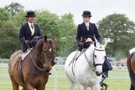 horses-horse-riding-side-saddle-483585.jpg