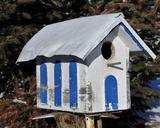 bird-house-bird-birdhouse-1641051.jpg