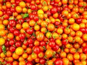 organic-tomato-fresh-1501207.jpg