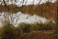 pond-fall-nature-215414.jpg