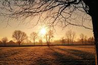 sunrise-cold-iced-hoarfrost-580379.jpg