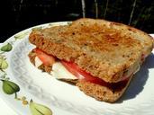 sandwich-lunch-grilled-cheese-meal-49244.jpg