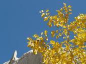 valley-of-roses-cappadocia-tufa-rock-64947.jpg