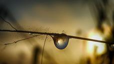 water-drop-drop-liquid-bubble-wet-409033.jpg