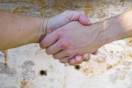 hand-hands-handshake-human-1445733.jpg